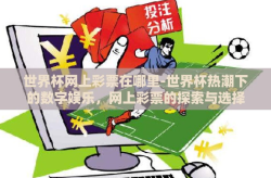 世界杯网上彩票在哪里-世界杯热潮下的数字娱乐，网上彩票的探索与选择