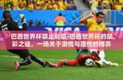 巴西世界杯禁止彩票-巴西世界杯的禁彩之谜，一场关于激情与理性的博弈