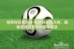世界杯彩票大神-世界杯彩票大神，揭秘足球盛宴中的数字魔法