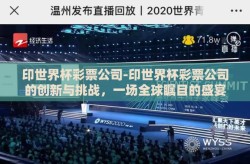印世界杯彩票公司-印世界杯彩票公司的创新与挑战，一场全球瞩目的盛宴