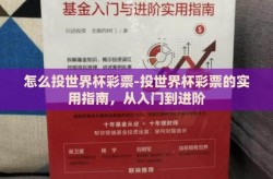 怎么投世界杯彩票-投世界杯彩票的实用指南，从入门到进阶