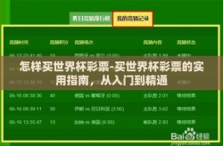 怎样买世界杯彩票-买世界杯彩票的实用指南，从入门到精通
