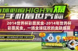 2014世界杯彩票奖金-2014年世界杯彩票奖金，一场全球狂欢的金融盛宴