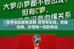 世界杯彩票有效期-世界杯彩票，把握时间，珍惜每一刻的幸运