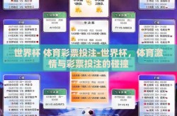 世界杯 体育彩票投注-世界杯，体育激情与彩票投注的碰撞