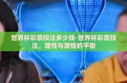 世界杯彩票投注多少钱-世界杯彩票投注，理性与激情的平衡