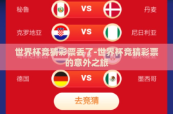 世界杯竞猜彩票丢了-世界杯竞猜彩票的意外之旅