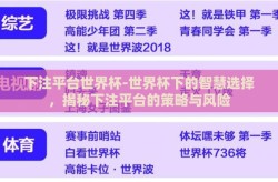 下注平台世界杯-世界杯下的智慧选择，揭秘下注平台的策略与风险