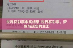 世界杯彩票中奖结果-世界杯彩票，梦想与现实的交汇