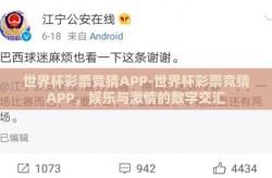 世界杯彩票竞猜APP-世界杯彩票竞猜APP，娱乐与激情的数字交汇