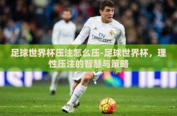 足球世界杯压注怎么压-足球世界杯，理性压注的智慧与策略