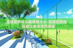 足球世界杯比赛场地大小-足球世界杯，探索比赛场地的奥秘