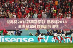 世界杯2018彩票冠军彩-世界杯2018，彩票冠军彩的背后与激情