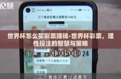 世界杯怎么买彩票赚钱-世界杯彩票，理性投注的智慧与策略