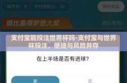 支付宝能投注世界杯吗-支付宝与世界杯投注，便捷与风险并存