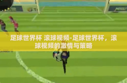 足球世界杯 滚球视频-足球世界杯，滚球视频的激情与策略