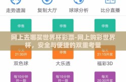 网上去哪买世界杯彩票-网上购彩世界杯，安全与便捷的双重考量