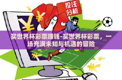 买世界杯彩票赚钱-买世界杯彩票，一场充满未知与机遇的冒险