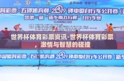 世界杯体育彩票资讯-世界杯体育彩票，激情与智慧的碰撞