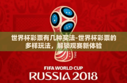 世界杯彩票有几种买法-世界杯彩票的多样玩法，解锁观赛新体验