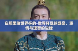 在那里赌世界杯的-世界杯足球盛宴，激情与理智的边缘