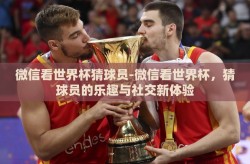 微信看世界杯猜球员-微信看世界杯，猜球员的乐趣与社交新体验