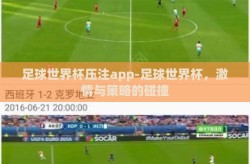 足球世界杯压注app-足球世界杯，激情与策略的碰撞