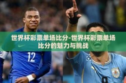 世界杯彩票单场比分-世界杯彩票单场比分的魅力与挑战
