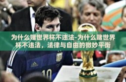 为什么赌世界杯不违法-为什么赌世界杯不违法，法律与自由的微妙平衡