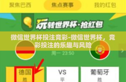 微信世界杯投注竞彩-微信世界杯，竞彩投注的乐趣与风险