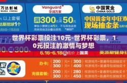 世界杯彩票投注10元-世界杯彩票，10元投注的激情与梦想