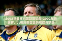 2002世界杯八强彩票奖金-2002年世界杯，八强彩票奖金的辉煌与梦想