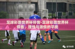 足球彩票世界杯停售-足球彩票世界杯停售，理性与激情的平衡