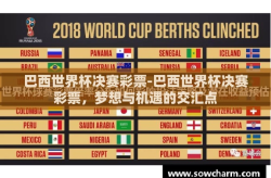 巴西世界杯决赛彩票-巴西世界杯决赛彩票，梦想与机遇的交汇点