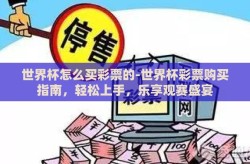 世界杯怎么买彩票的-世界杯彩票购买指南，轻松上手，乐享观赛盛宴