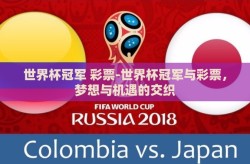 世界杯冠军 彩票-世界杯冠军与彩票，梦想与机遇的交织