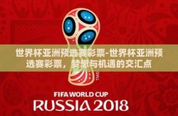 世界杯亚洲预选赛彩票-世界杯亚洲预选赛彩票，梦想与机遇的交汇点