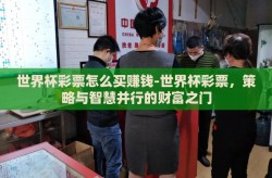 世界杯彩票怎么买赚钱-世界杯彩票，策略与智慧并行的财富之门