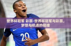 世界杯冠军 彩票-世界杯冠军与彩票，梦想与机遇的碰撞