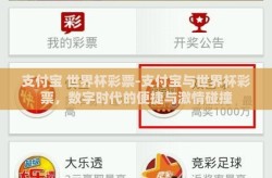支付宝 世界杯彩票-支付宝与世界杯彩票，数字时代的便捷与激情碰撞