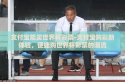 支付宝能买世界杯彩票-支付宝购彩新体验，便捷购世界杯彩票的潮流