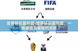 世界杯彩票外围-世界杯彩票外围，一场激情与策略的交织