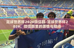 足球世界杯2026微信群-足球世界杯2026，微信群里的激情与期待