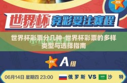 世界杯彩票分几种-世界杯彩票的多样类型与选择指南