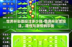 世界杯彩票投注多少钱-世界杯彩票投注，理性与激情的平衡