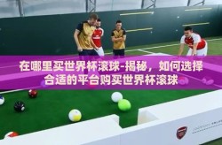 在哪里买世界杯滚球-揭秘，如何选择合适的平台购买世界杯滚球