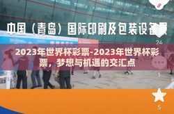 2023年世界杯彩票-2023年世界杯彩票，梦想与机遇的交汇点