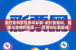 支付宝购买世界杯彩票-支付宝购彩，便捷与激情的碰撞——世界杯彩票新体验