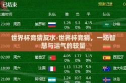 世界杯竞猜反水-世界杯竞猜，一场智慧与运气的较量