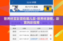 世界杯买彩票在哪儿买-世界杯激情，彩票购彩指南